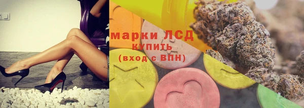 прущие грибы Козловка