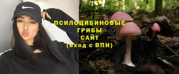 мяу мяу мука Кодинск