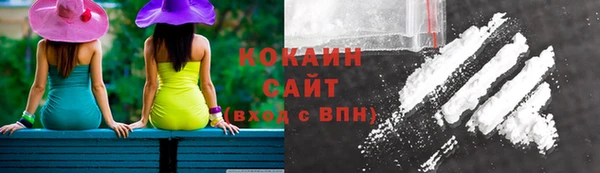 мяу мяу мука Кодинск