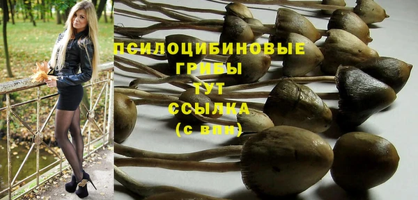 МДМА Киреевск