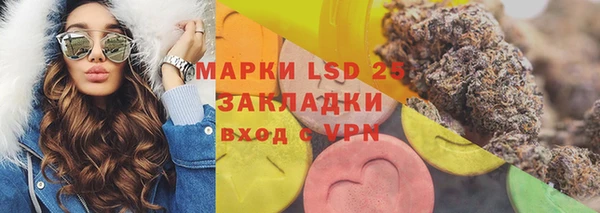 прущие грибы Козловка