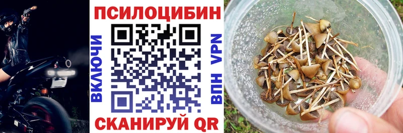 Галлюциногенные грибы Psilocybe Купить где Мариинск